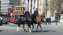 Horses at work the the UK.