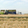 Farm equipment necessary for harvesting forage for horses.