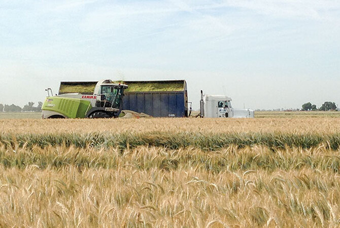 Farm equipment necessary for harvesting forage for horses.