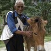 Owner and donkey used for transportation in India.