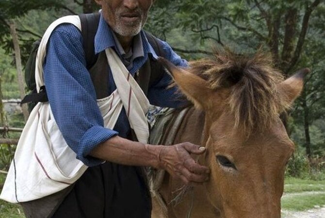 A man with his service donkey in Nepal, India.