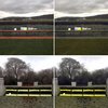 Images on the left show what a human sees compared to what a horse sees on the right.