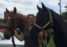 Researcher Shannon Stanley with horses.