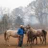 Men with horses rescued during a wild fire.