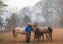 Rescuer with horses during California wild fires.