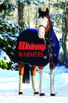 Horse wearing Whinny Warmers.