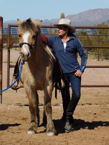 Julie Goodnight ready to train horse in arena.