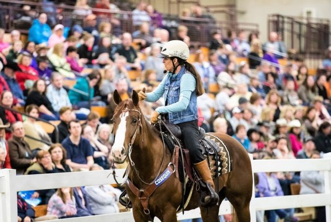 Ctowd at Equine Affaire enjoying show time withJulie Goodnight.