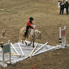 Palomino rider guiding horse through an obstacle puzzle at an Equine Affaire.