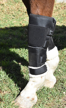 Knee shields on a horse's legs.