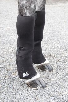 Ice boots on horse's legs.