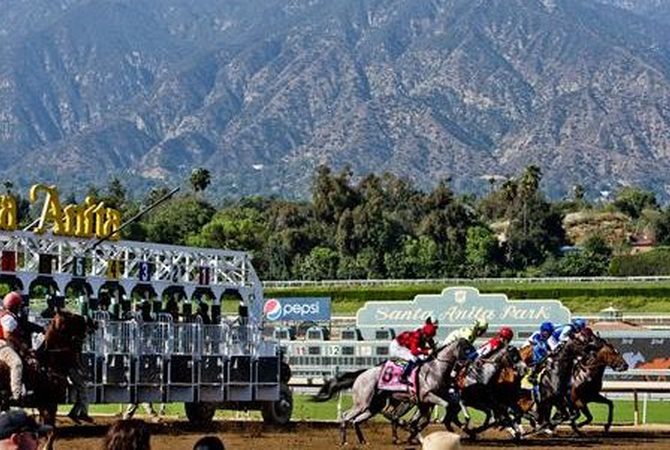 Panoramic view of racing horses at Santa Anita Race Track