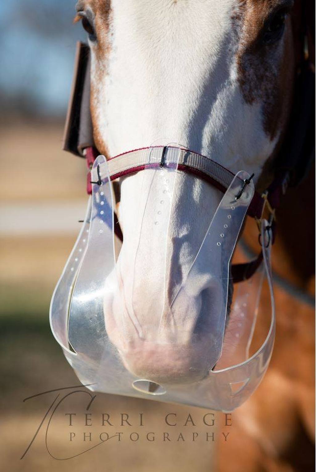 ThinLine Reinvents the Slow Feeder Muzzle for Horses EquiMed Horse Health Matters