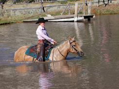 Trail riding is enjoyable for both horse and rider, but horses face injury when riding through unusual terrain