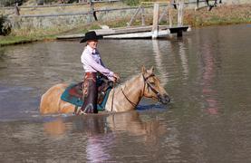Trail riding is enjoyable for both horse and rider, but horses face injury when riding through unusual terrain