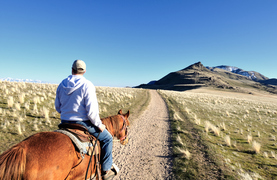 Conditioning a horse on a trail ride on Antelope Island, Utah.