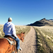 Conditioning a horse on a trail ride on Antelope Island, Utah.