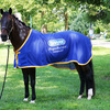 Cobra the horse - From wild mustang to world famous.