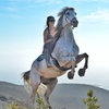 Rearing horse wearing Cavallo boots on rough terrain.