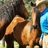 Monty Roberts with two mustangs.