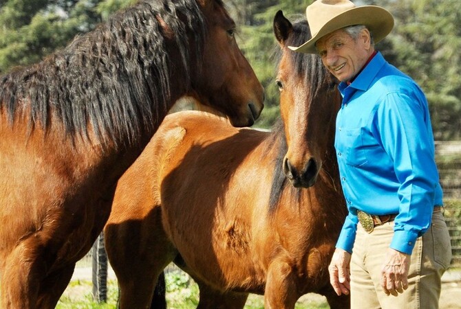 Monty Roberts with two mustangs he is training.