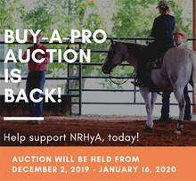 Poster advertising NRHyA auction.