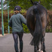 Home | EquiMed - Horse Health Matters