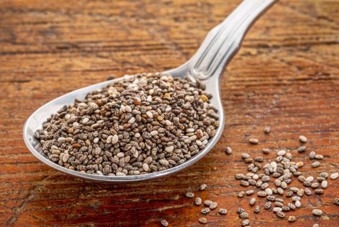 Chia seeds as nutritional feed for horses