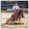 Reining horse and rider in action coming to a sudden stop.