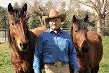 Monty Roberts with two mustangs.