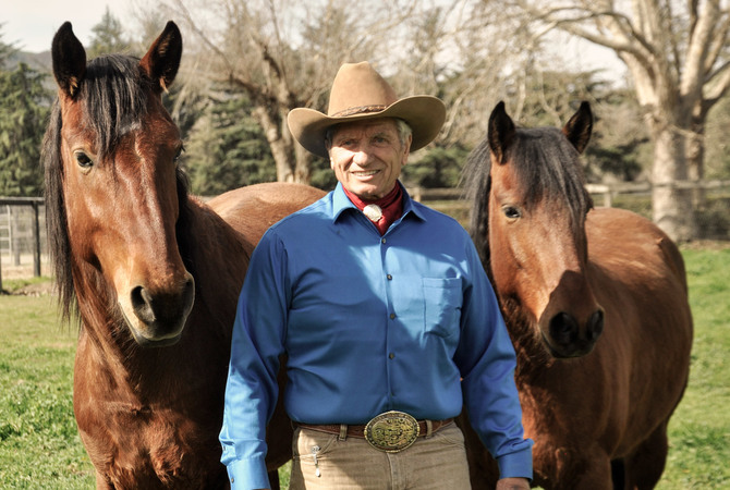 Monty Roberts with two mustangs he 'gentled'.
