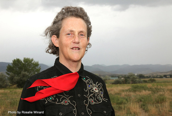 Dr. Temple Grandin in a windblown country setting.