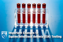 Testing apparatus for equine infectious anemia.