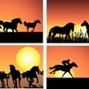 Horses and riders cavorting in the sun of summer.
