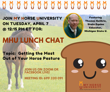 Poster advertising My Horse University noontime chats.