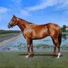 Painting by Robert Clark - Horse - I'll Have Another
