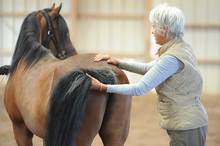 Margaret Henkels demonstrating horse tail exercises.