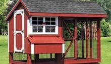 A colorful well-designed Horizon Structures chicken coop.