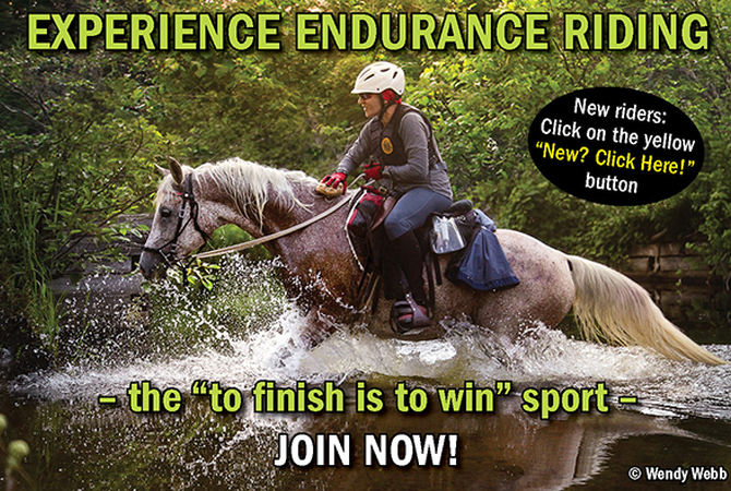 Rider and horse enjoying challenges of endurance riding.