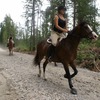 Cavalo boots on horse's hooves on mountain trail.
