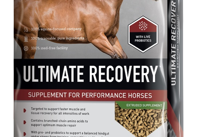 Ultimate Recovery Supplement: One of Buckeye's products resulting from equine nutrition research