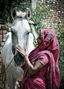 Woman in India with white horse used mainly for transportation.