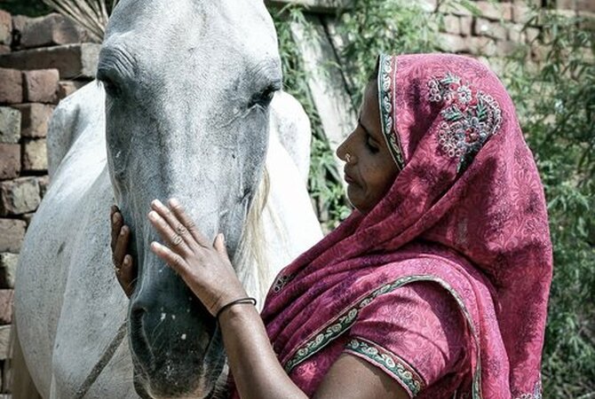 Woman in India with the white horse that works with the family.