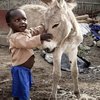 Young boy with a young donkey foal.