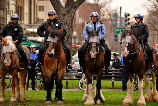 Mounted Police Unit on the streets of Washington DC