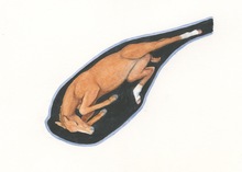 Posterior presentation of the foal in the mare's uterus. Including one hind leg positioned forward.