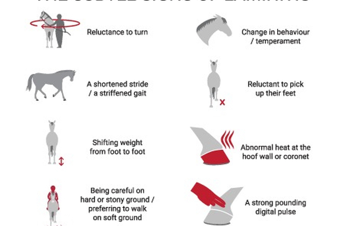 Infographic showing subtle signs of lameness in horses.
