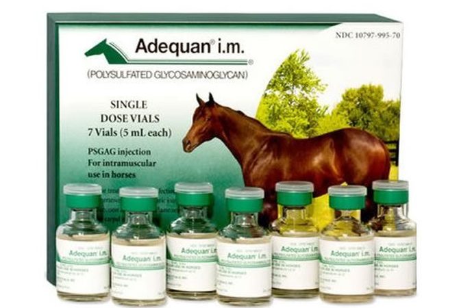 Single dose vials of Adequan with horse as backdrop.