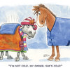 Too much blanketing!