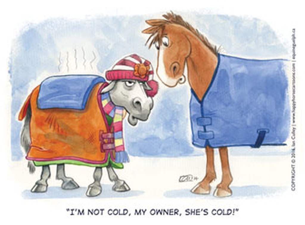 horse-blanketing-tool-helps-horse-owners-determine-whether-or-not-to-blanket-equimed-horse